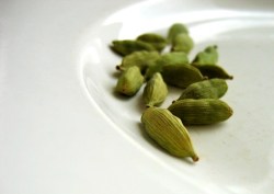cardamom