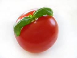 tomatobasil