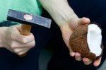 opening coconut with hammer